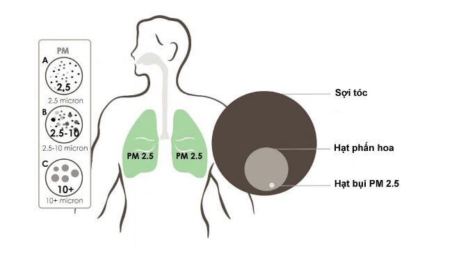 Bụi mịn PM2.5 gây ra những nguy hiểm gì?